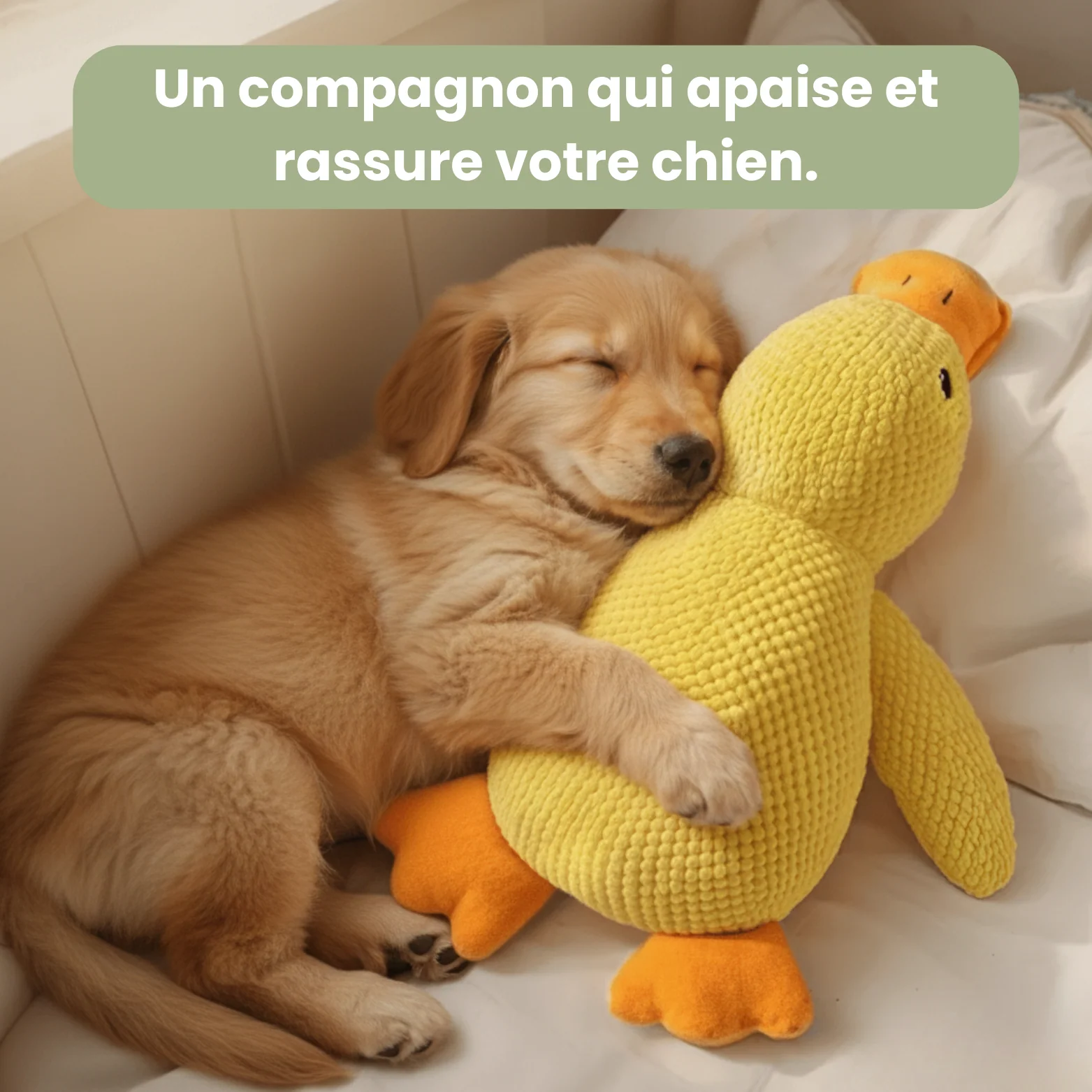 ZenDuck™ - Canard anti-stress - Image 3