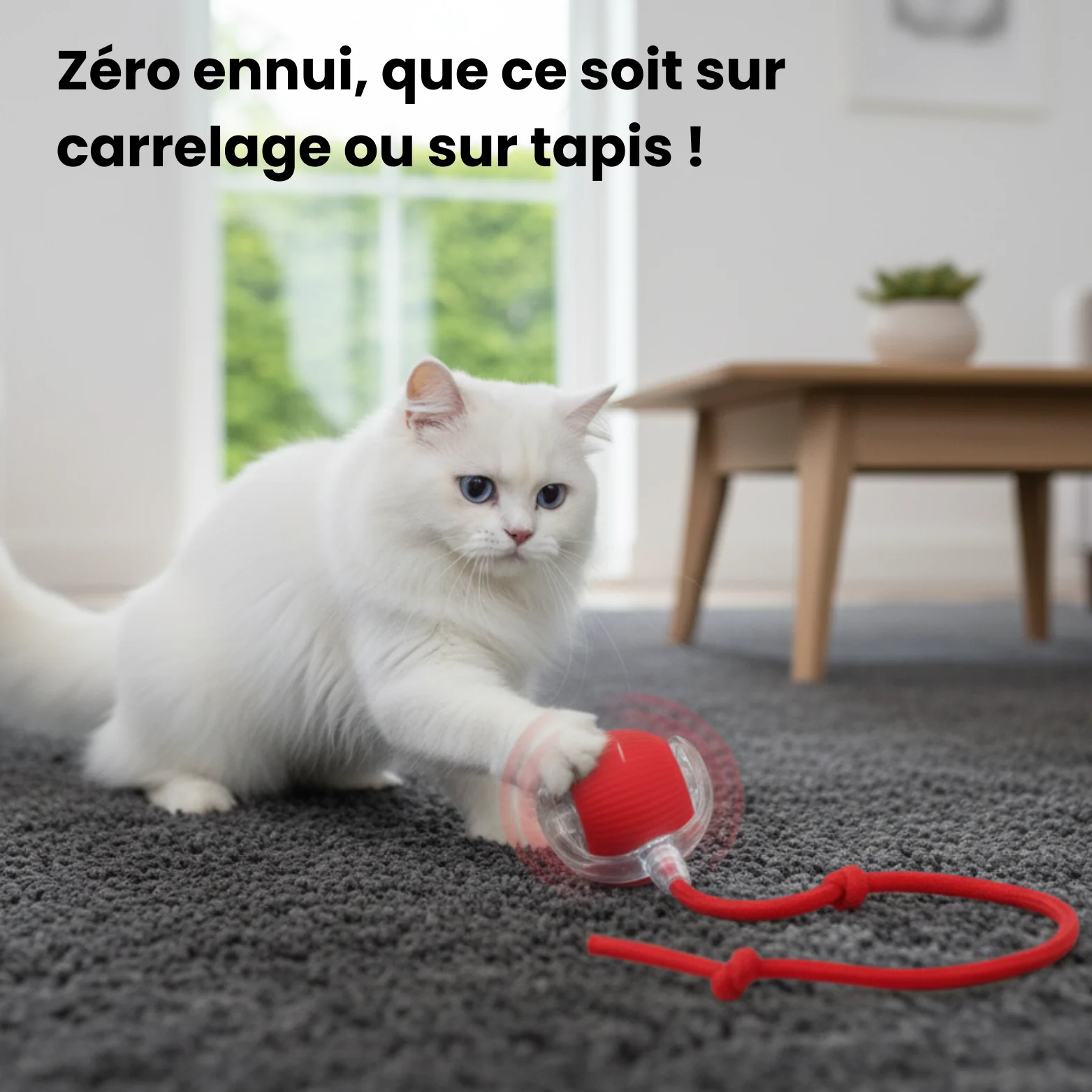 CrazyBall™ - Balle Interactive - Image 4