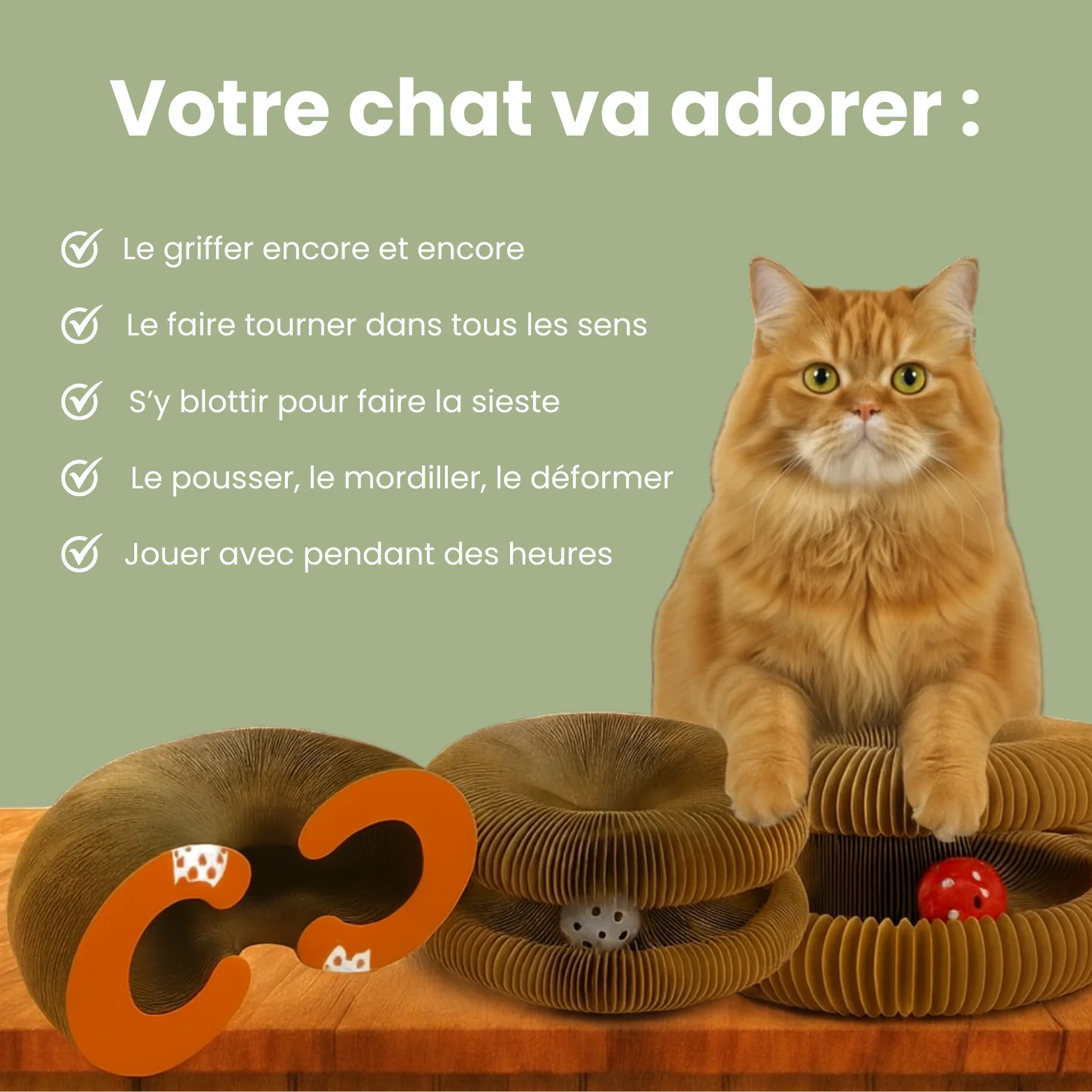 Griffoir interactif pour chats - Image 3