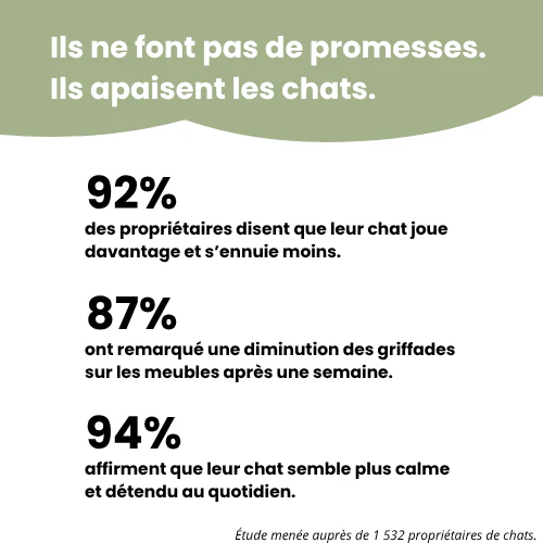 Griffoir interactif pour chats - Image 5