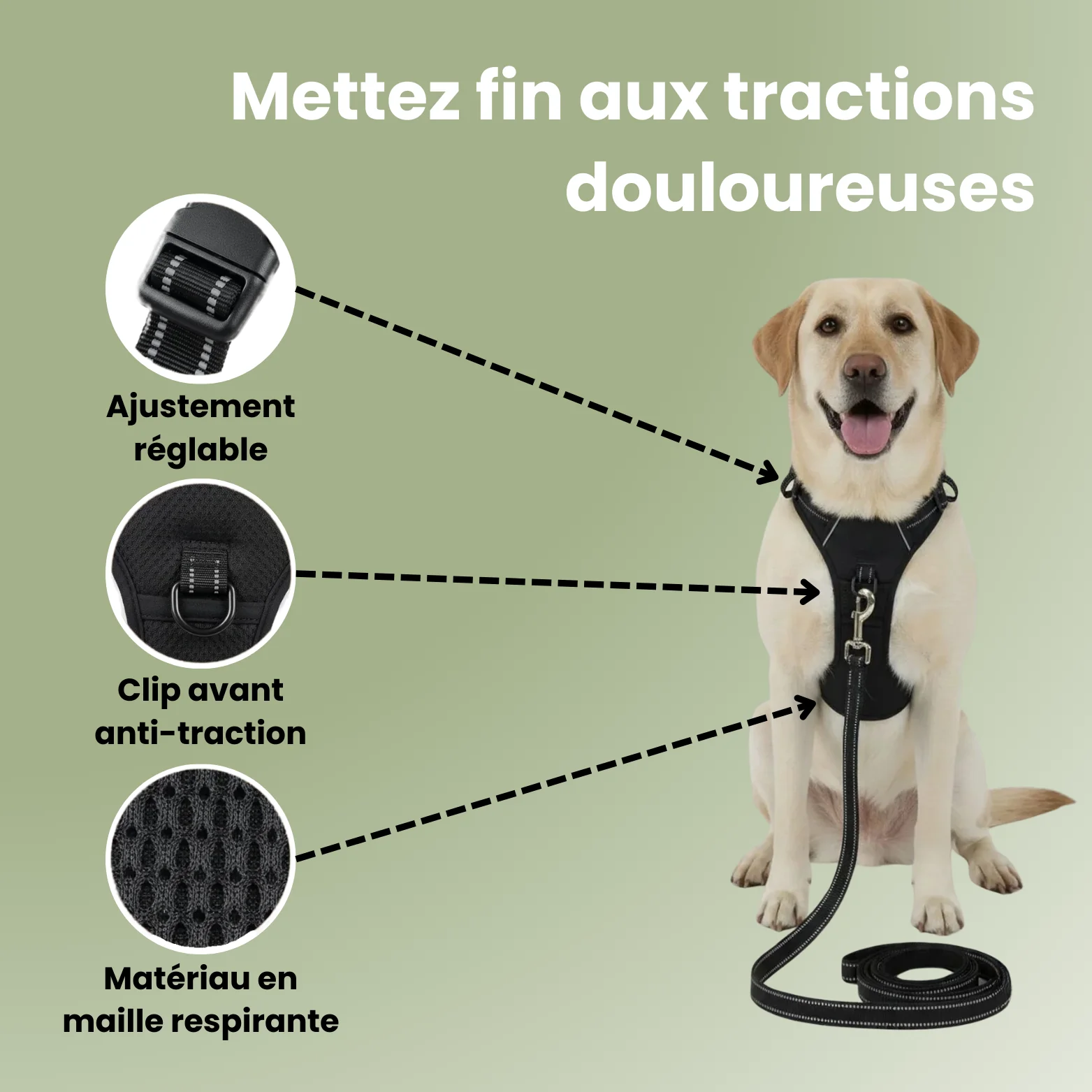 FlexControl™ – Harnais anti-traction - Image 3