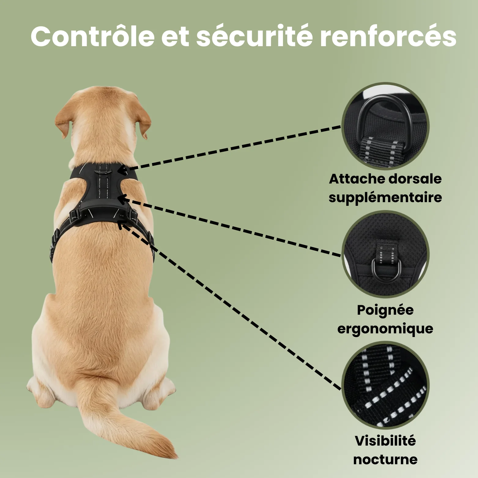 FlexControl™ – Harnais anti-traction - Image 4