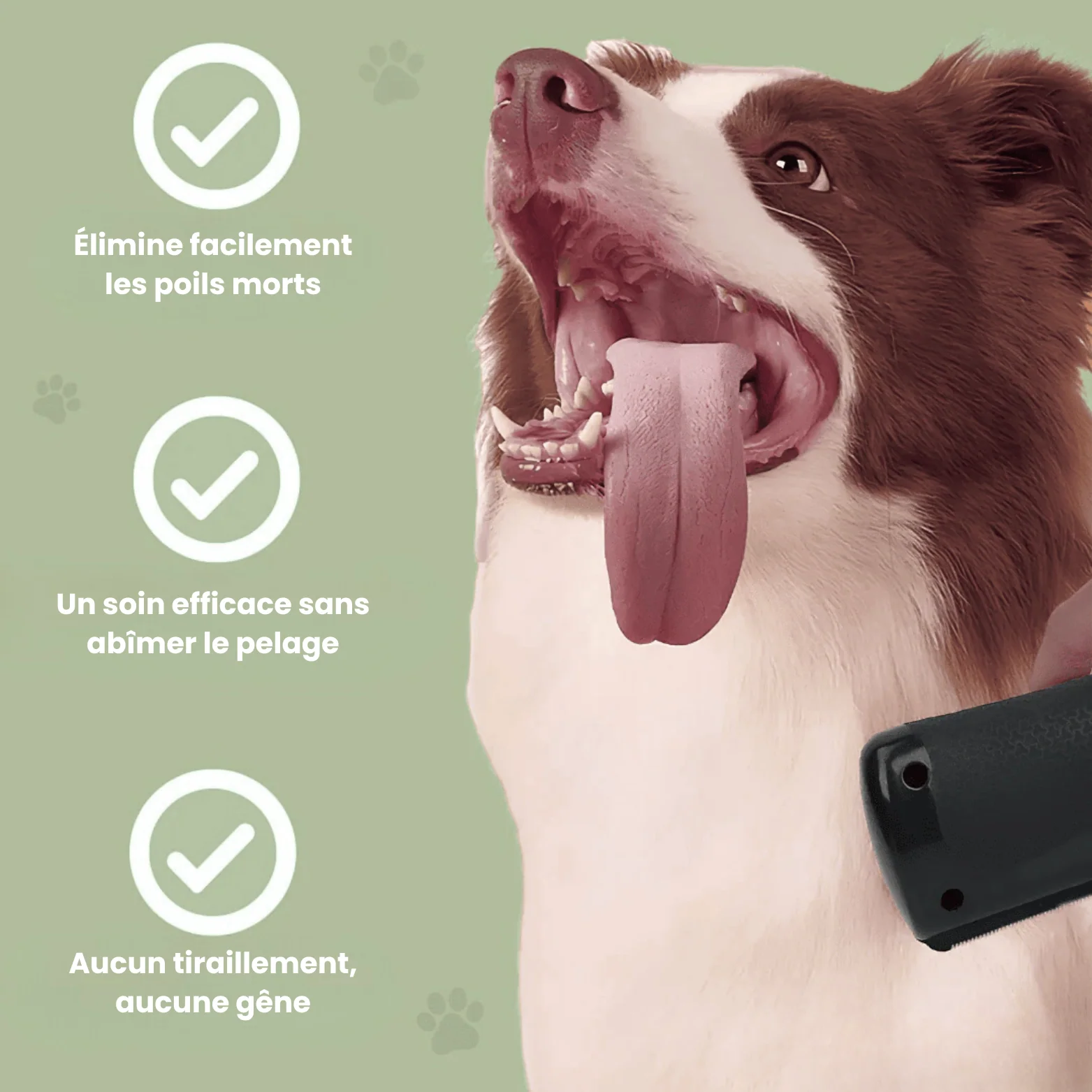 La Brosse Magique pour chien - Image 6