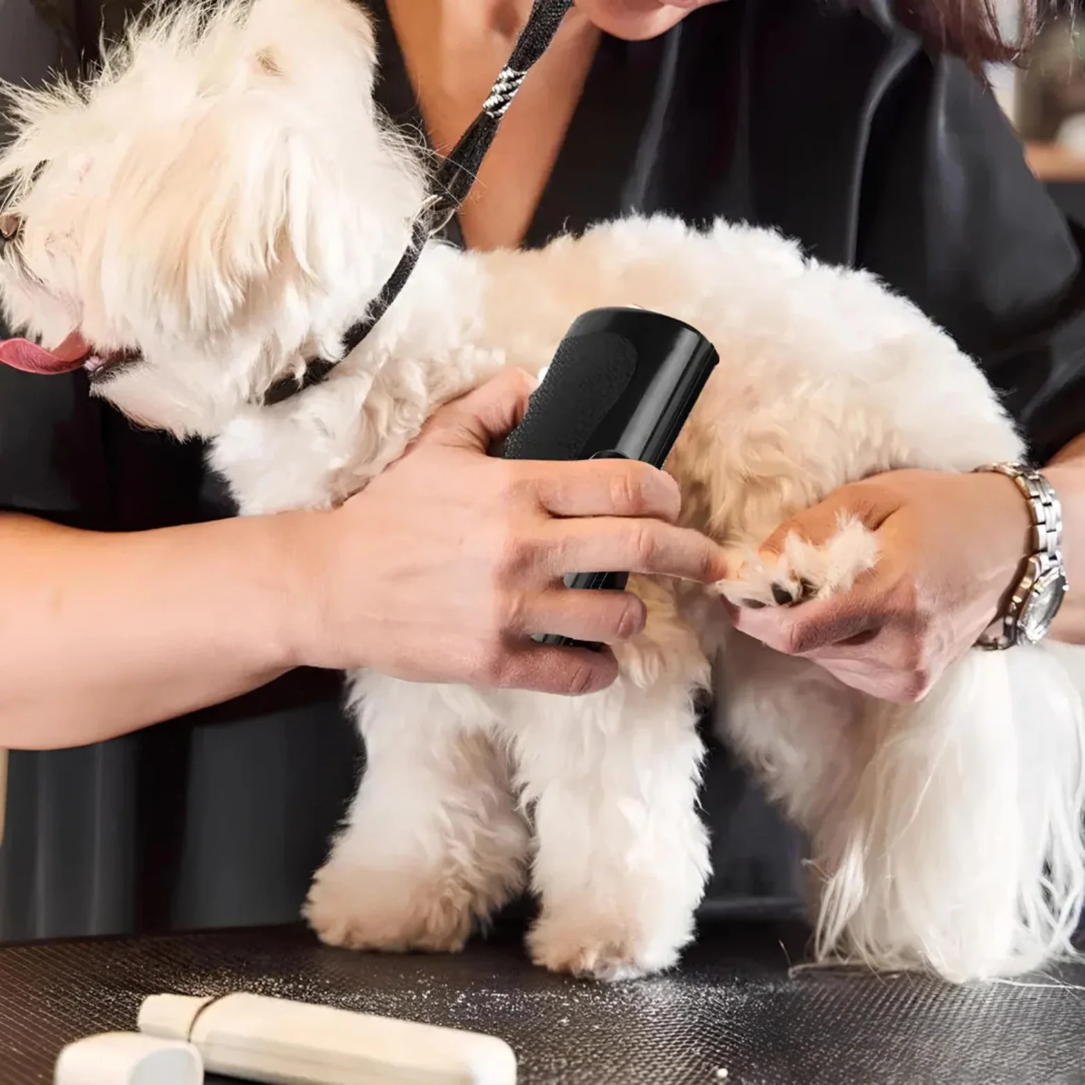 La Brosse Magique pour chien - Image 7