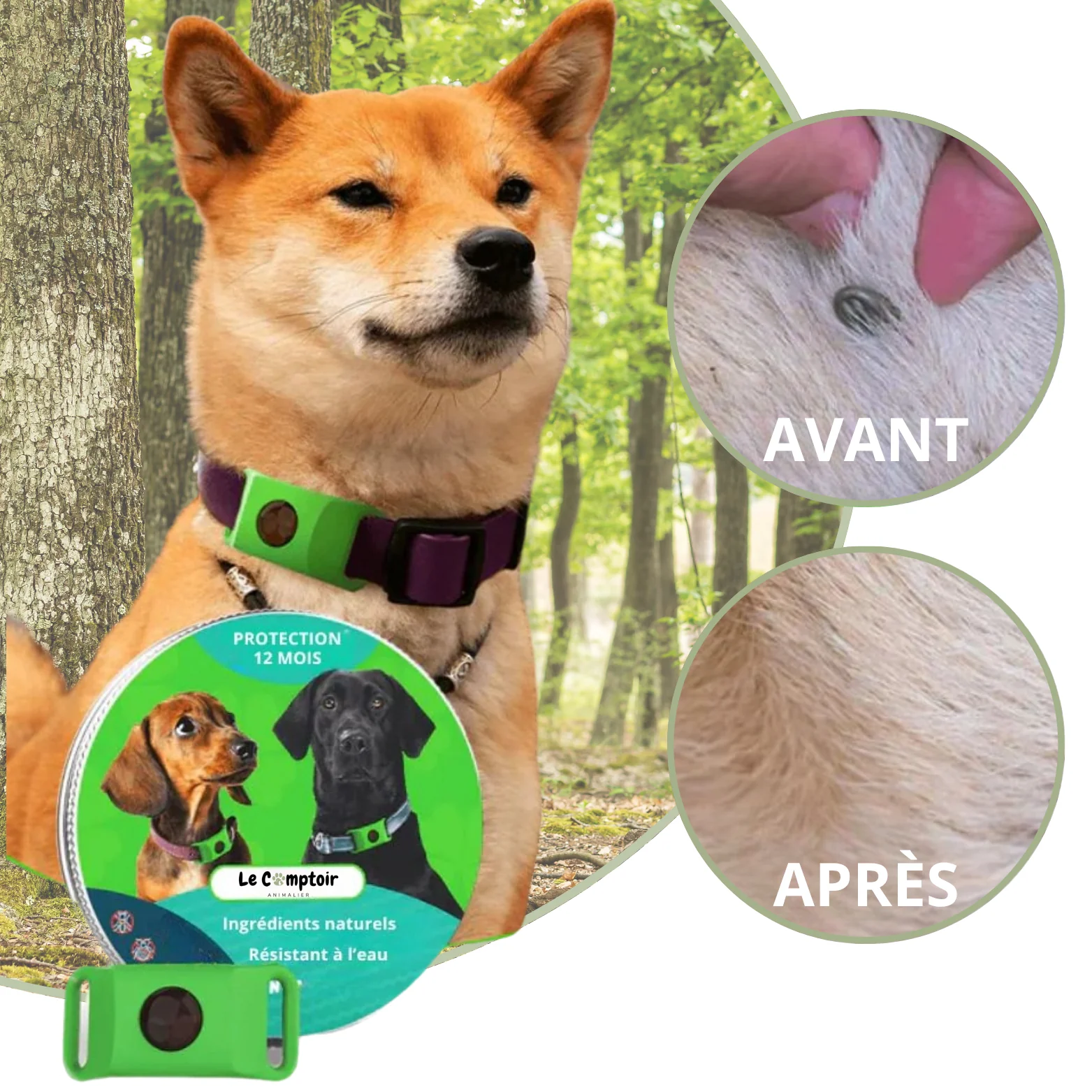 Médaillon Répulsif Naturel - Image 3