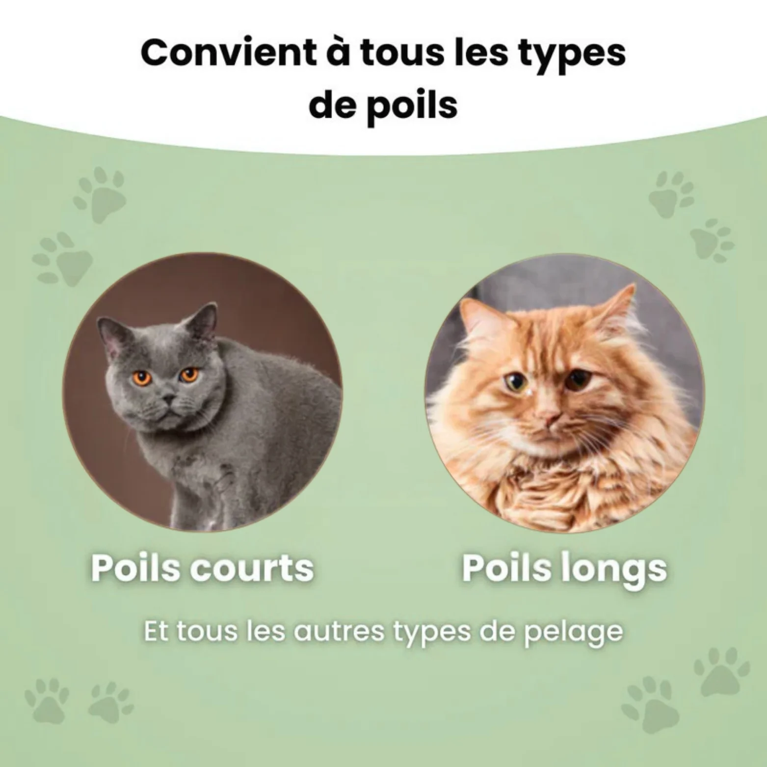 Brosse anti-poil pour chat - Image 5