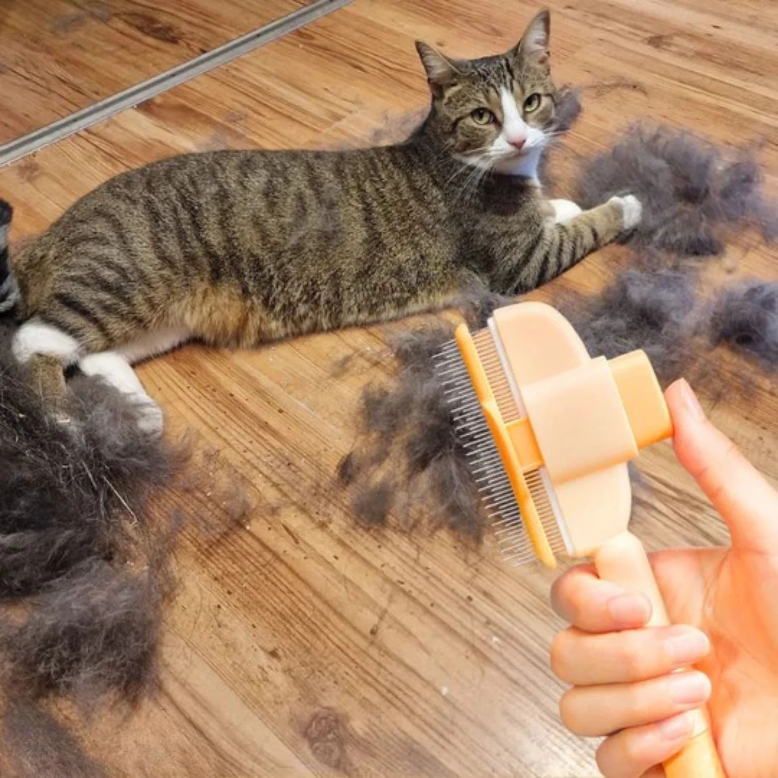 Brosse anti-poil pour chat - Image 8